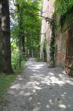 Enlarge photo 51