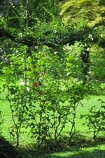 Enlarge photo 55