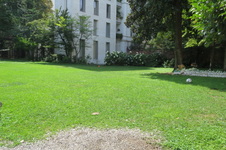 Enlarge photo 60