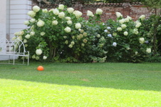 Enlarge photo 66