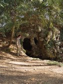 Enlarge photo 3