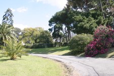 Enlarge photo 18