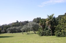 Enlarge photo 23