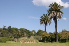 Enlarge photo 25