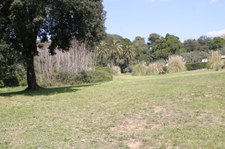 Enlarge photo 26