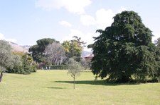 Enlarge photo 27
