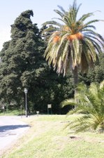 Enlarge photo 29