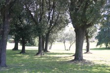 Enlarge photo 30