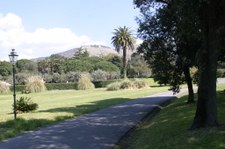 Enlarge photo 31