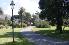Enlarge photo 32