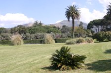 Enlarge photo 33