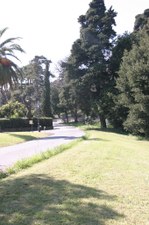 Enlarge photo 34