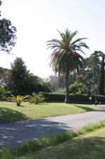 Enlarge photo 35