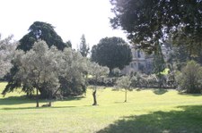 Enlarge photo 36