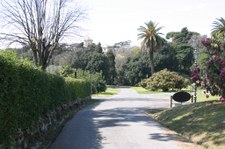 Enlarge photo 46