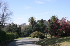 Enlarge photo 37