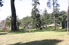 Enlarge photo 38