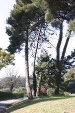 Enlarge photo 39