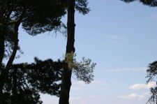 Enlarge photo 40