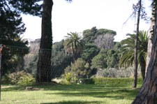 Enlarge photo 41