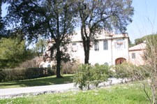 Enlarge photo 43
