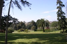 Enlarge photo 44