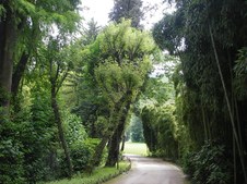 Enlarge photo 5
