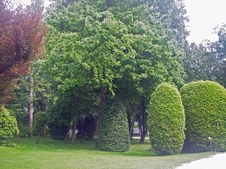 Enlarge photo 8