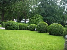 Enlarge photo 10