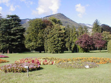 Enlarge photo 17