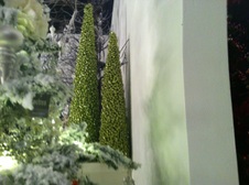 Enlarge photo 41
