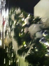 Enlarge photo 66
