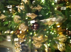 Enlarge photo 85