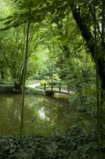 Enlarge photo 7
