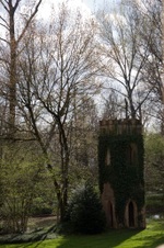Enlarge photo 8