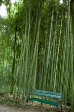 Enlarge photo 12