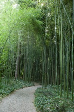 Enlarge photo 10
