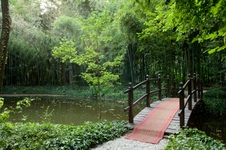 Villa Di Bagno MN