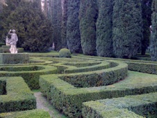 Enlarge photo 26