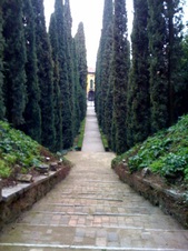 Enlarge photo 32