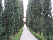 Enlarge photo 15