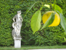 Enlarge photo 14