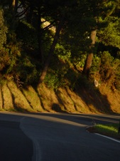 Enlarge photo 46