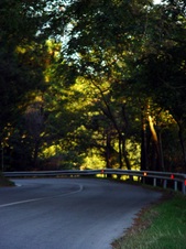Enlarge photo 47