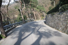 Enlarge photo 40