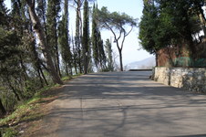 Enlarge photo 42
