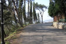 Enlarge photo 43
