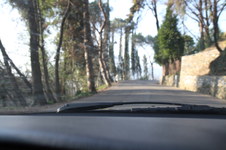 Enlarge photo 28