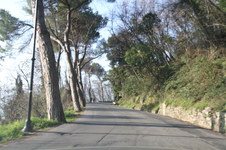 Enlarge photo 32