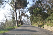 Enlarge photo 33